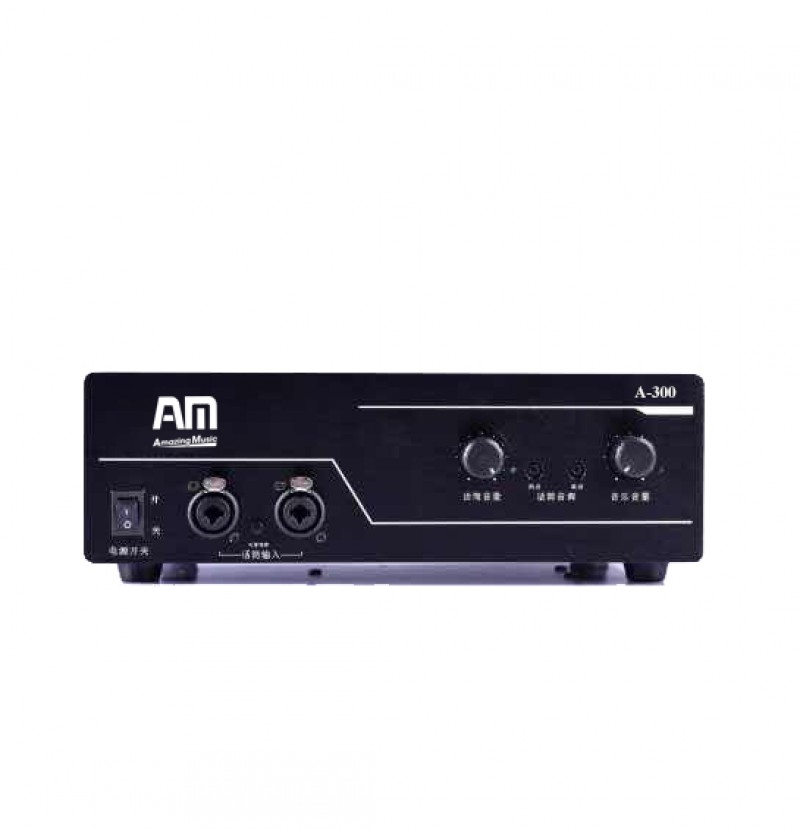Amplifier AM A-300